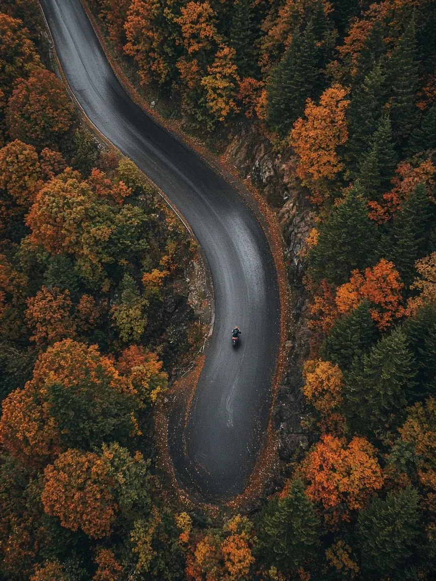 Aerial view of a motorcyclist on a winding mountain road through autumn forest